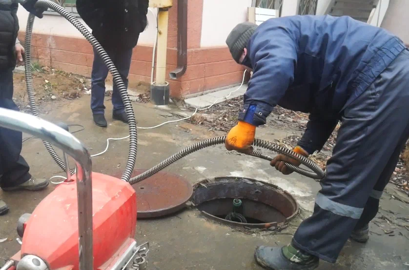 Диплом / сертификат